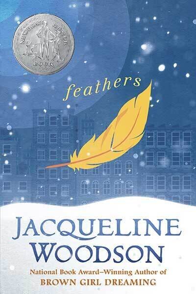 book cover of feathers